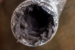 dryer-vent-hose-caked-with-a-thick-layer-of-lint